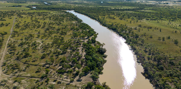 Thomson River, Longreach