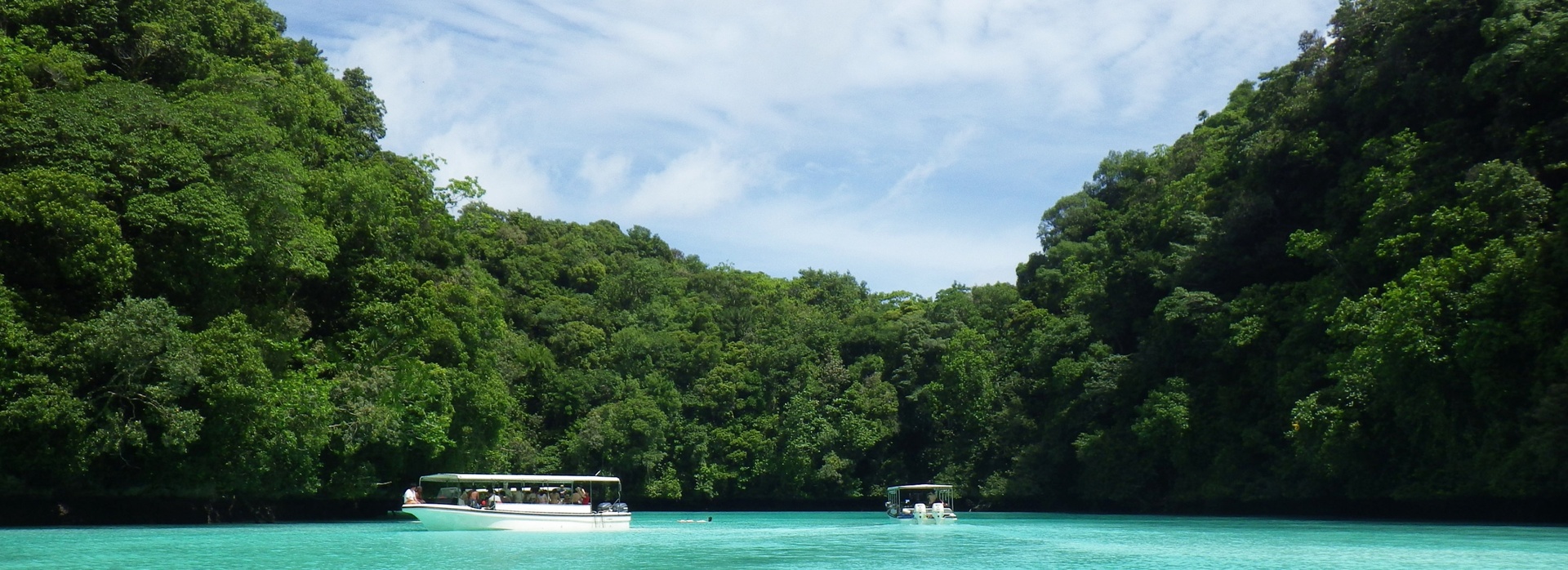 Uncover Paradise in Palau banner
